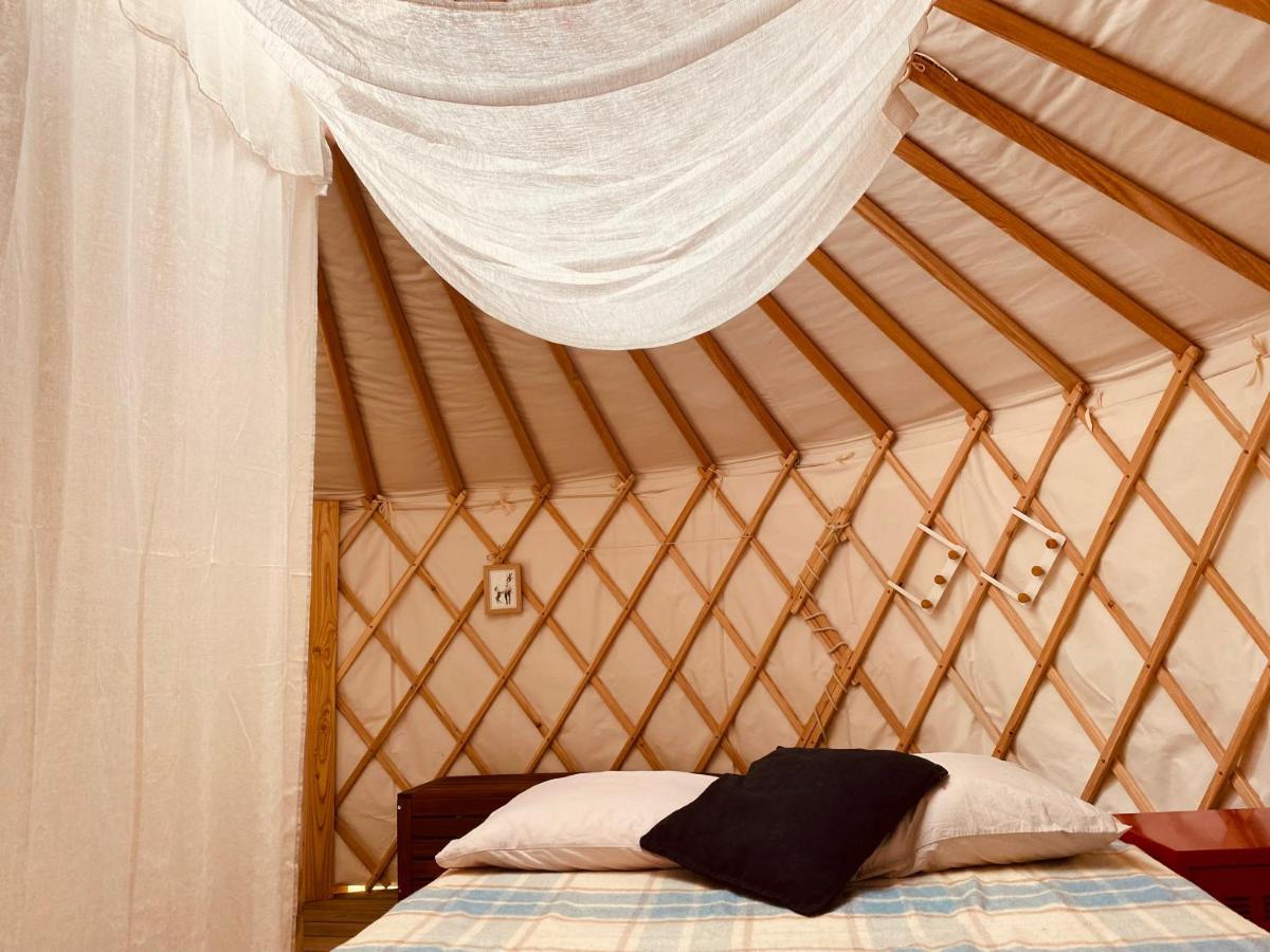 Yourte Et Son Bain Nordique Frechet-Aure Buitenkant foto